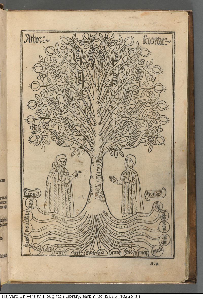 Two people standing under a tree with text woven into the roots and tree branches.