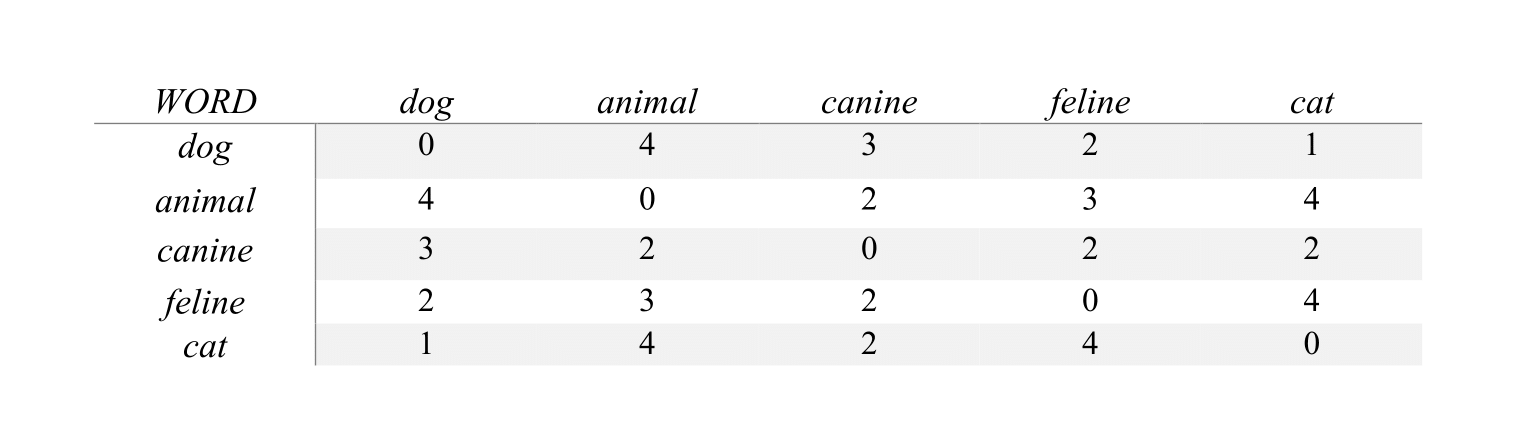 Words-by-words co-occurrences matrix