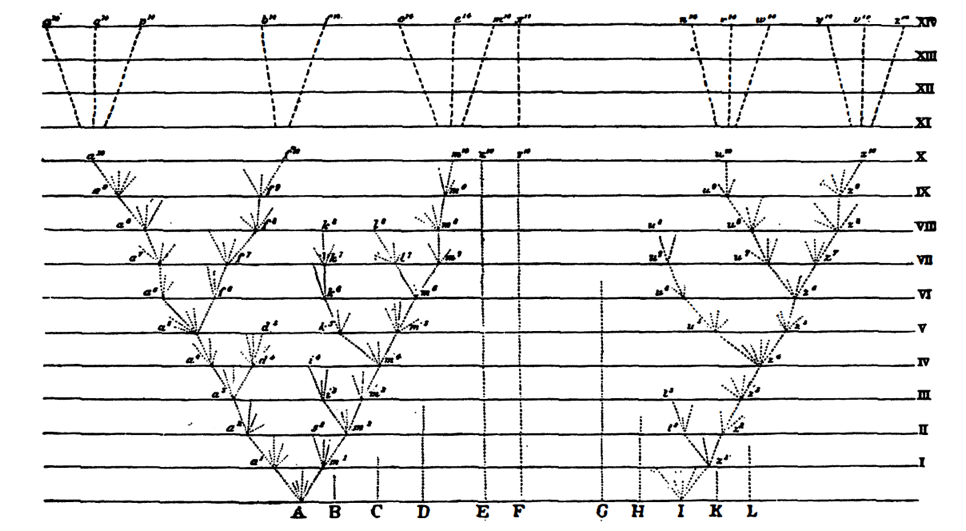 image of Darwin's sketch of speciation from Moretti's _Graphs, Maps, Trees_