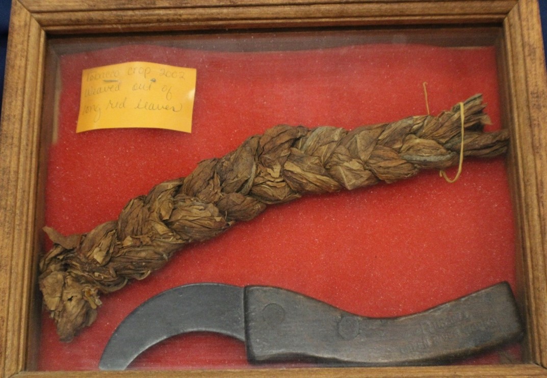 A braided tobacco leaf with a tobacoo knife.