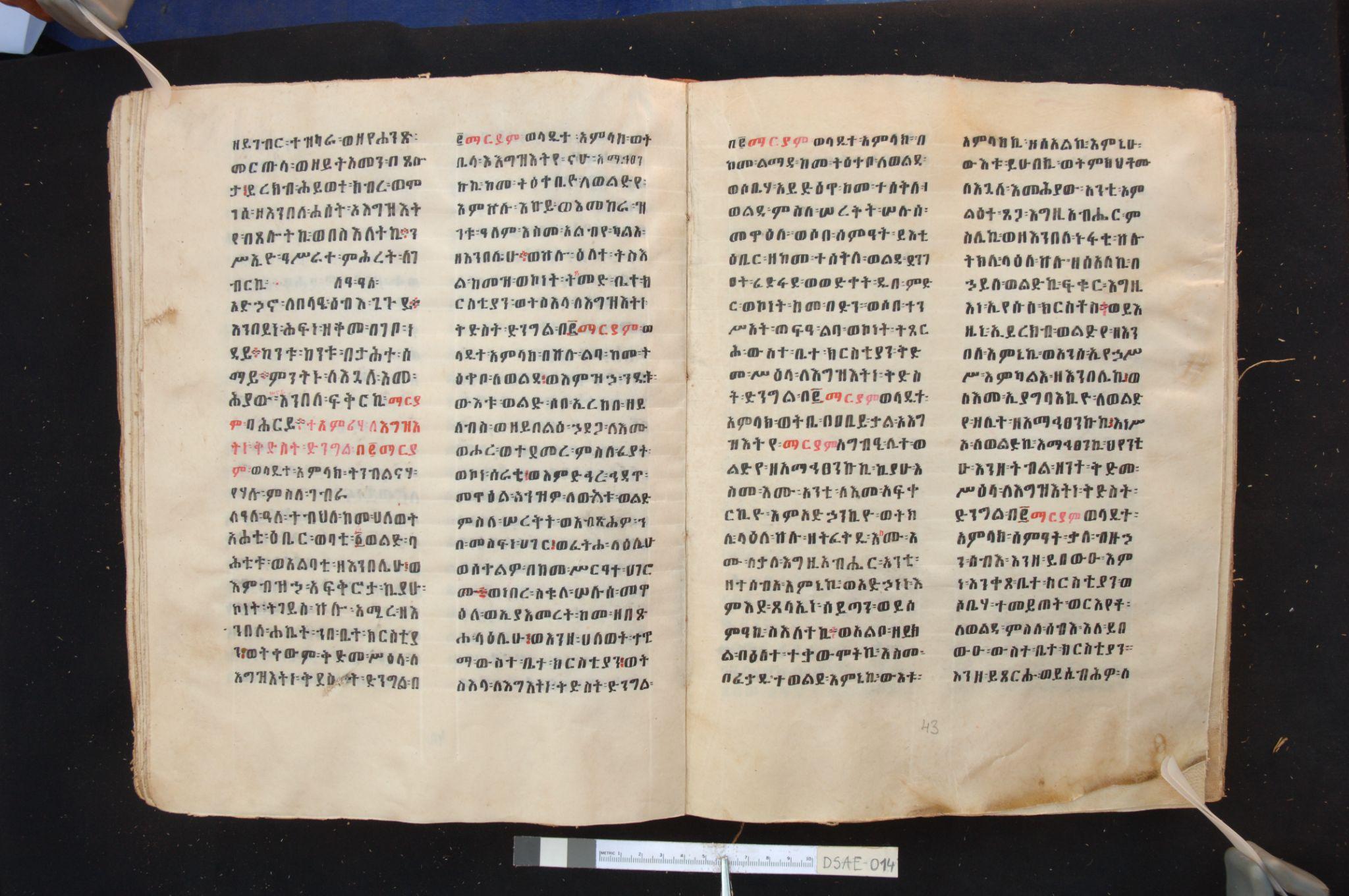 Scan of a manuscript. The text is written in Amharic and includes both black and red font.