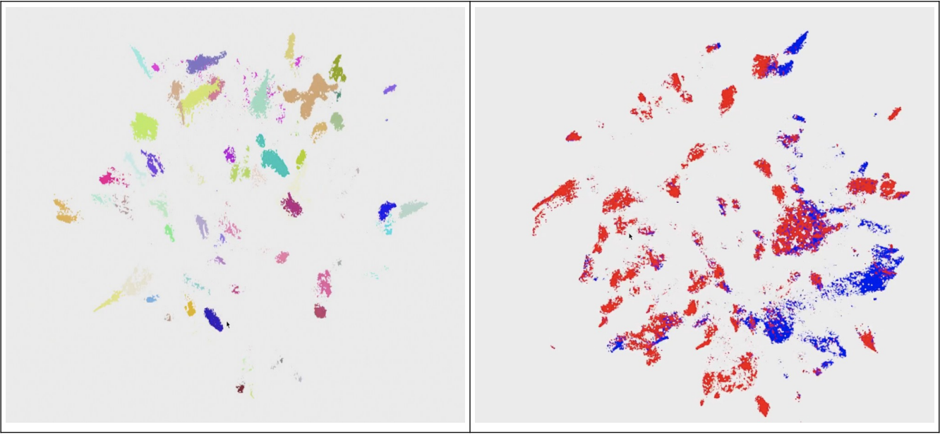 A screenshot showing the visualizations of the topics and their chromaticity, in color.